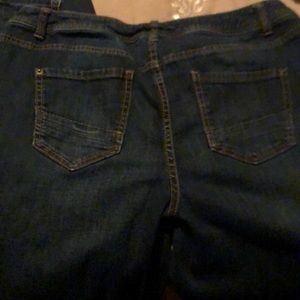 Lane Bryant Jeans